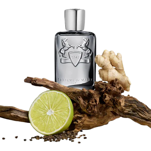 Parfums de Marly Castley