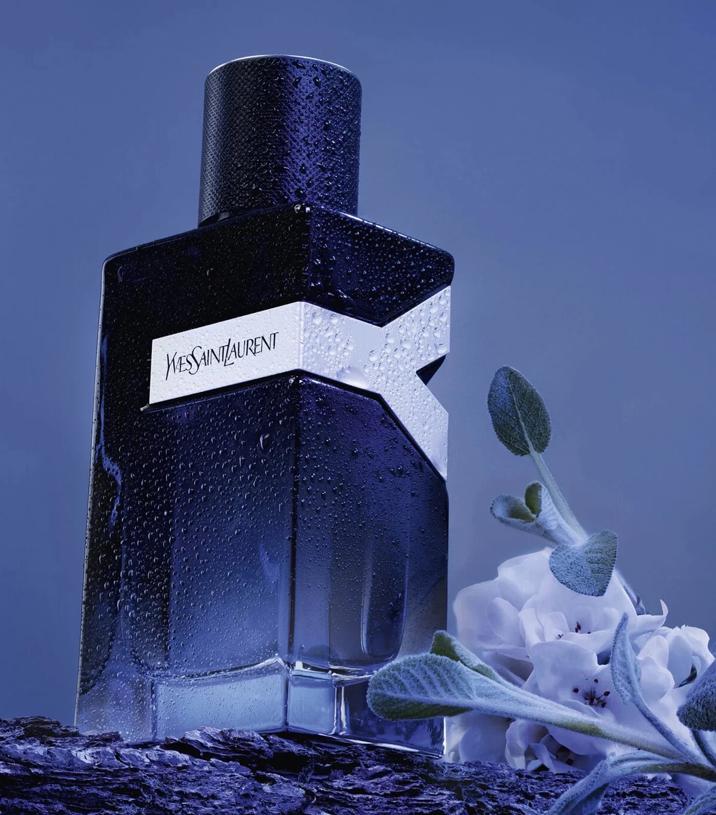 Yves Saint Laurent Y Eau de Parfum