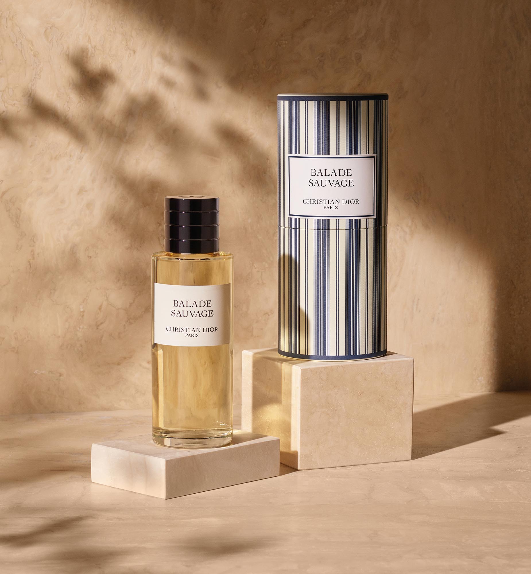 Dior Balade Sauvage
