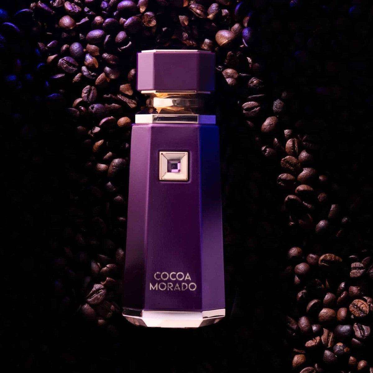French Avenue Cocoa Morado